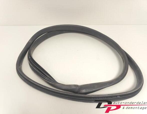 Door Seal RENAULT CLIO IV Grandtour (KH_), RENAULT CLIO III Grandtour (KR0/1_)