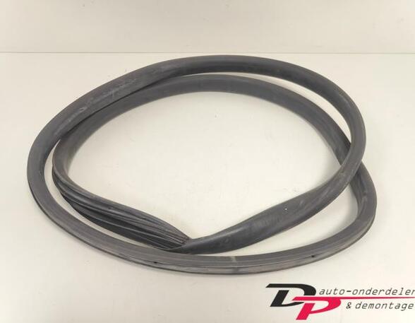 Door Seal RENAULT CLIO IV Grandtour (KH_), RENAULT CLIO III Grandtour (KR0/1_)