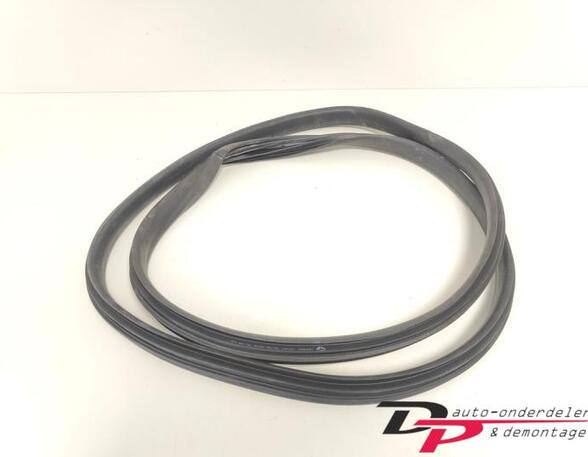 Door Seal RENAULT CLIO IV Grandtour (KH_), RENAULT CLIO III Grandtour (KR0/1_)