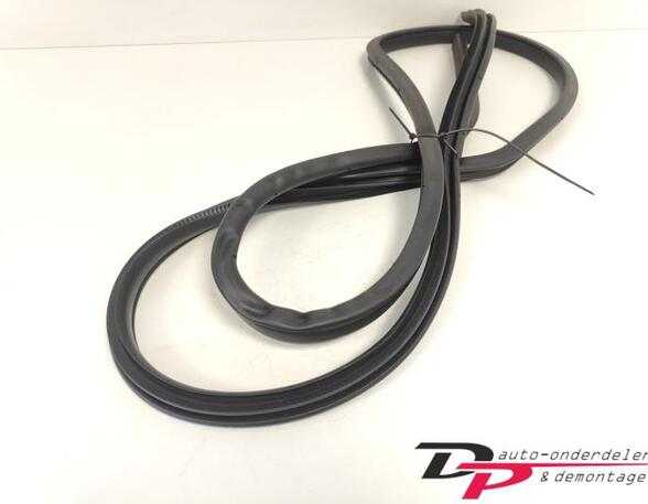 Door Seal NISSAN X-TRAIL (T32_)