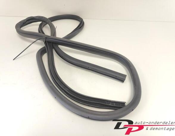 Door Seal NISSAN X-TRAIL (T32_)