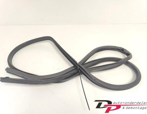 Door Seal NISSAN X-TRAIL (T32_)