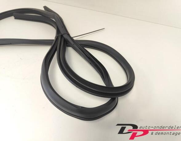 Door Seal NISSAN X-TRAIL (T32_)