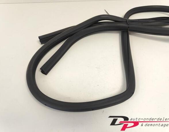 Door Seal NISSAN X-TRAIL (T32_)