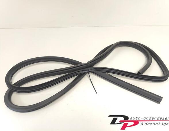 Door Seal NISSAN X-TRAIL (T32_)