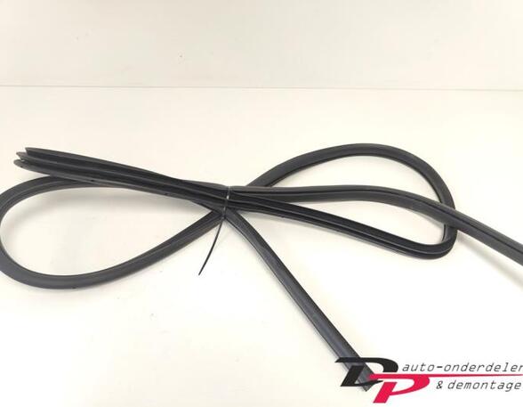 Door Seal NISSAN X-TRAIL (T32_)