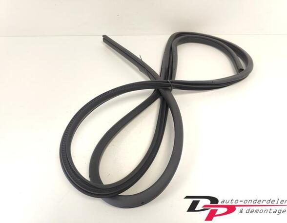 Door Seal NISSAN X-TRAIL (T32_)