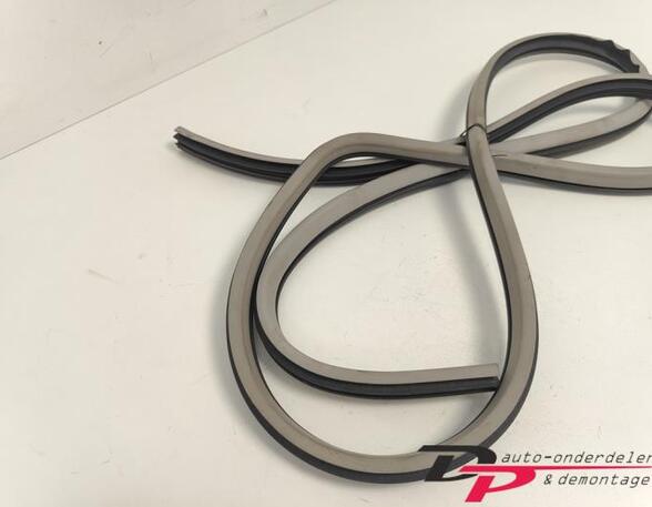 Door Seal CHEVROLET AVEO / KALOS Hatchback (T250, T255), CHEVROLET AVEO Hatchback (T300)