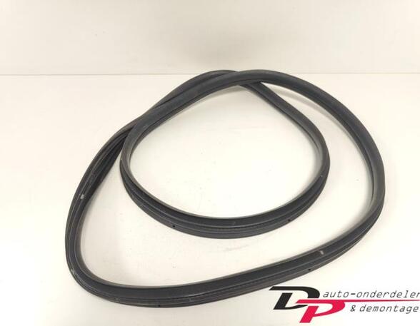 Door Seal RENAULT CLIO III (BR0/1, CR0/1), RENAULT CLIO IV (BH_), RENAULT CLIO II (BB_, CB_)