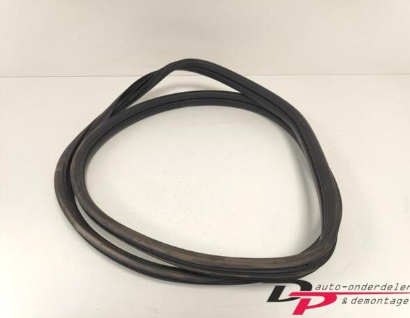 Door Seal RENAULT CLIO III (BR0/1, CR0/1), RENAULT CLIO IV (BH_), RENAULT CLIO II (BB_, CB_)