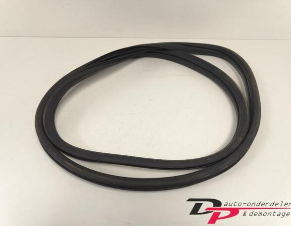 
Türgummi links hinten Renault Clio III BR0/1, CR0/1 8200428869 P21333101
