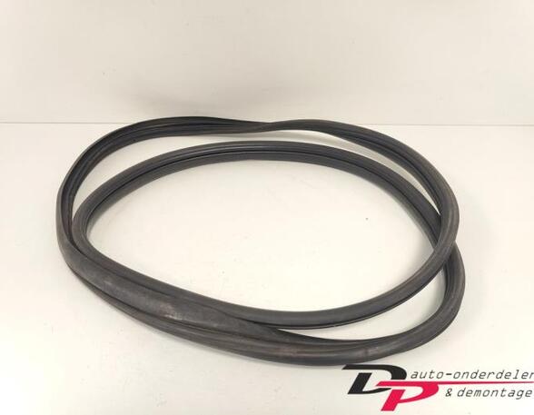 Door Seal RENAULT CLIO III (BR0/1, CR0/1), RENAULT CLIO IV (BH_), RENAULT CLIO II (BB_, CB_)