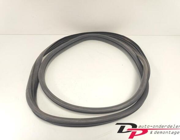 Door Seal RENAULT CLIO III (BR0/1, CR0/1), RENAULT CLIO IV (BH_), RENAULT CLIO II (BB_, CB_)