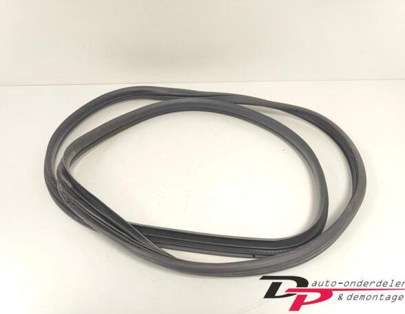 Door Seal RENAULT CLIO III (BR0/1, CR0/1), RENAULT CLIO IV (BH_), RENAULT CLIO II (BB_, CB_)