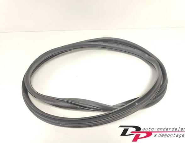 Door Seal RENAULT CLIO III (BR0/1, CR0/1), RENAULT CLIO IV (BH_), RENAULT CLIO II (BB_, CB_)