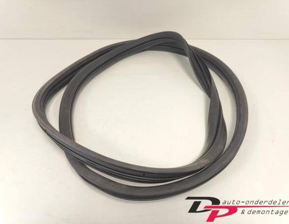 Door Seal RENAULT CLIO III (BR0/1, CR0/1), RENAULT CLIO IV (BH_), RENAULT CLIO II (BB_, CB_)