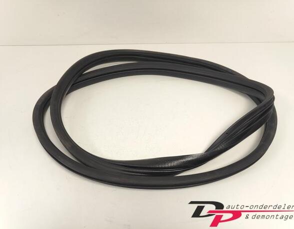 Door Seal RENAULT CLIO III (BR0/1, CR0/1), RENAULT CLIO IV (BH_), RENAULT CLIO II (BB_, CB_)