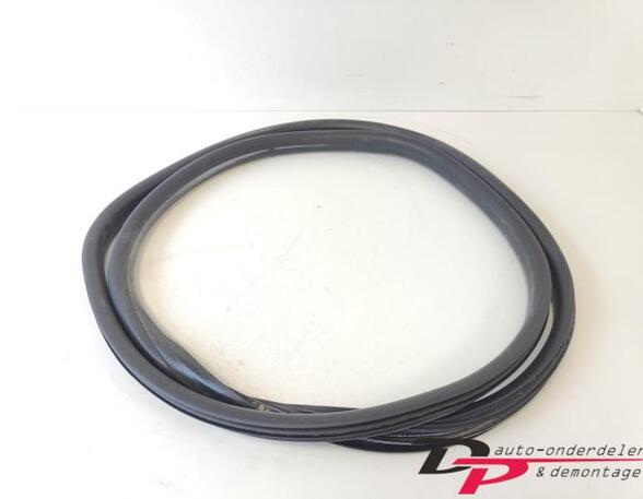 Türgummi links vorne Renault Clio Grandtour IV R 808324424R P21430763