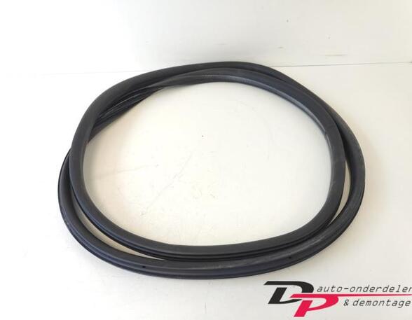 Türgummi links vorne Renault Clio Grandtour IV R 808324424R P21430763