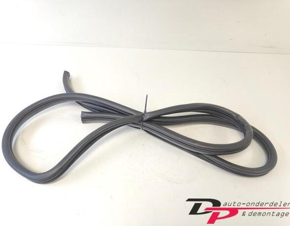 Door Seal HYUNDAI i20 (PB, PBT)