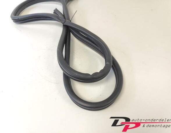 Door Seal HYUNDAI i20 (PB, PBT)