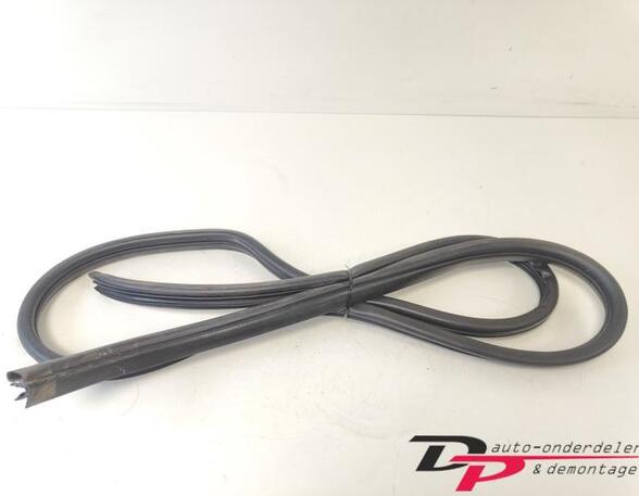 Door Seal HYUNDAI i20 (PB, PBT)