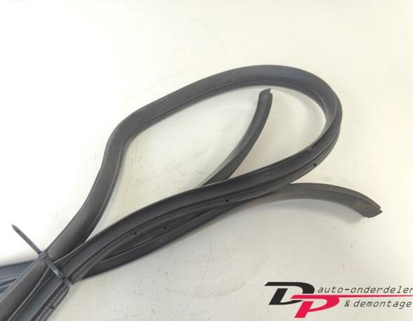 Door Seal HYUNDAI i20 (PB, PBT)