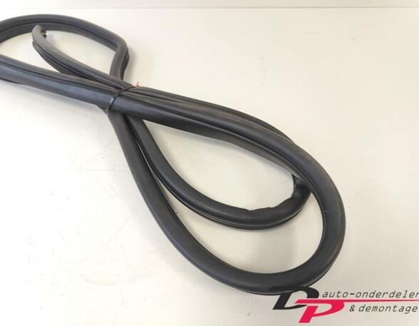 Door Seal HYUNDAI i20 (PB, PBT)