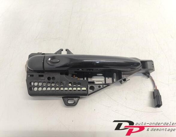 Door Handle RENAULT Captur I (H5, J5), RENAULT Clio IV (BH), RENAULT Clio III (BR0/1, CR0/1)