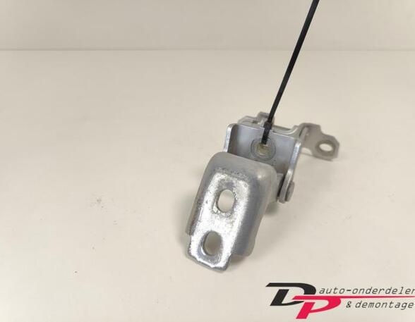 Door Hinge RENAULT CLIO IV Grandtour (KH_), RENAULT CLIO III Grandtour (KR0/1_)