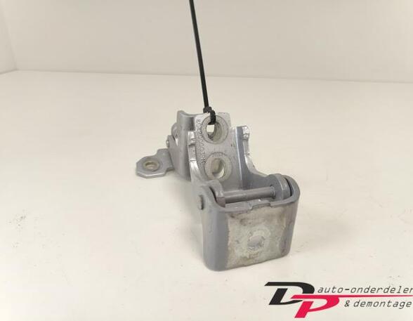 Door Hinge RENAULT CLIO IV Grandtour (KH_), RENAULT CLIO III Grandtour (KR0/1_)