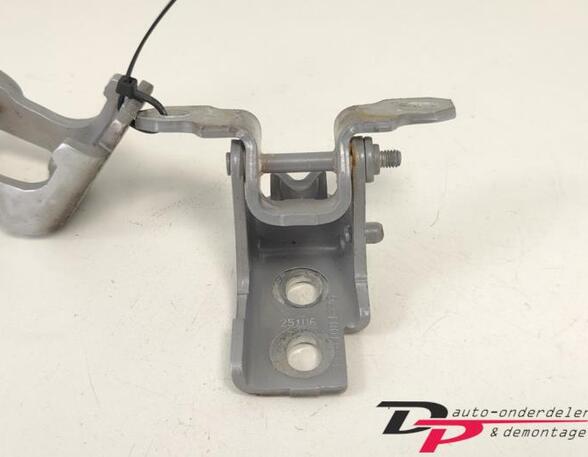 Door Hinge RENAULT CLIO IV Grandtour (KH_), RENAULT CLIO III Grandtour (KR0/1_)