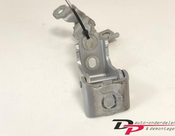 Door Hinge RENAULT CLIO IV Grandtour (KH_), RENAULT CLIO III Grandtour (KR0/1_)