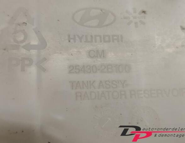 Ausgleichsbehälter Hyundai Santa Fe II CM 254302B100 P18780765