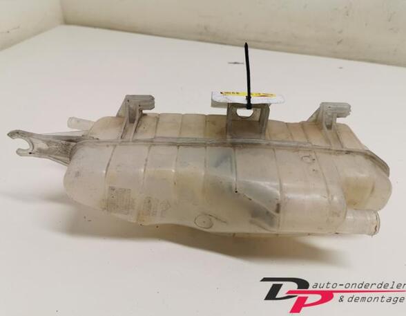 Coolant Expansion Tank RENAULT Clio III (BR0/1, CR0/1), RENAULT Clio IV (BH)