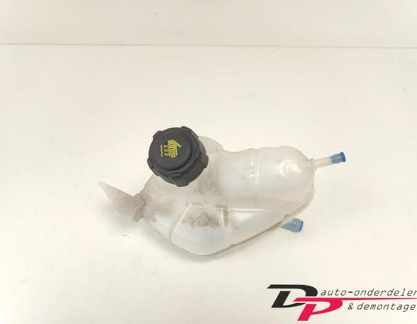 Coolant Expansion Tank NISSAN X-TRAIL (T32_)