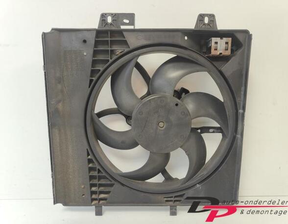 Radiator Electric Fan  Motor PEUGEOT 207 (WA_, WC_)