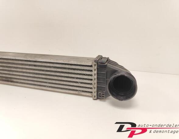 Intercooler MERCEDES-BENZ B-CLASS (W245)