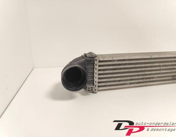 Intercooler MERCEDES-BENZ B-CLASS (W245)