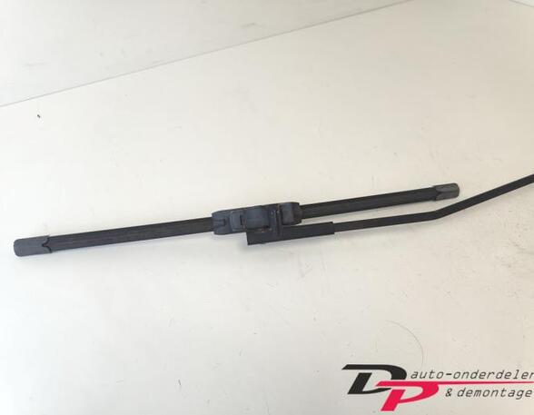 Wiper Arm FORD FOCUS C-MAX (DM2), FORD C-MAX (DM2), FORD KUGA I, FORD KUGA II (DM2)