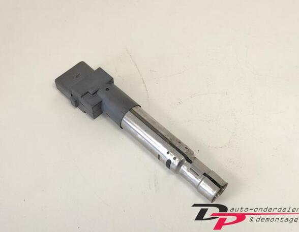 Ignition Coil VW Phaeton (3D1, 3D2, 3D3, 3D4, 3D6, 3D7, 3D8, 3D9)