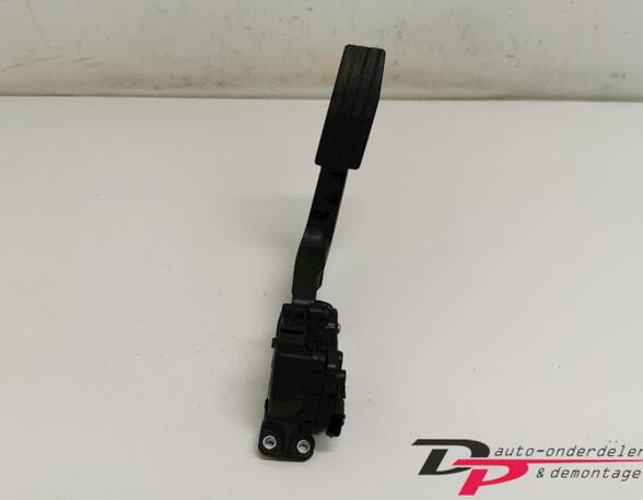 Accelerator pedal RENAULT Twingo II (CN0)