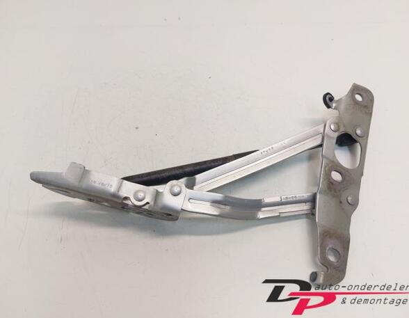 Heckklap hinge AUDI TT Roadster (8J9)