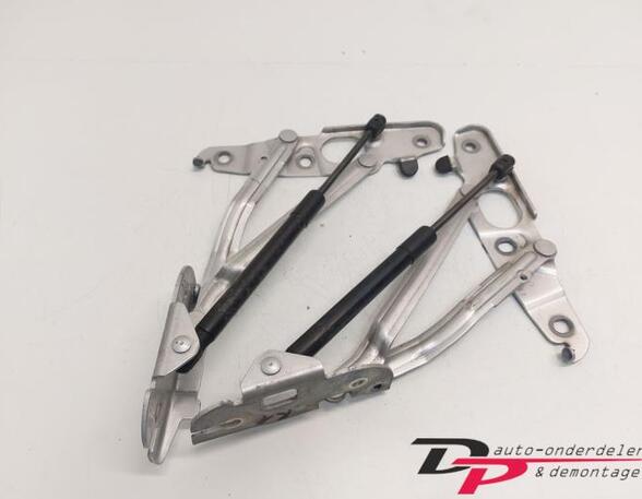 Heckklap hinge AUDI TT Roadster (8J9)