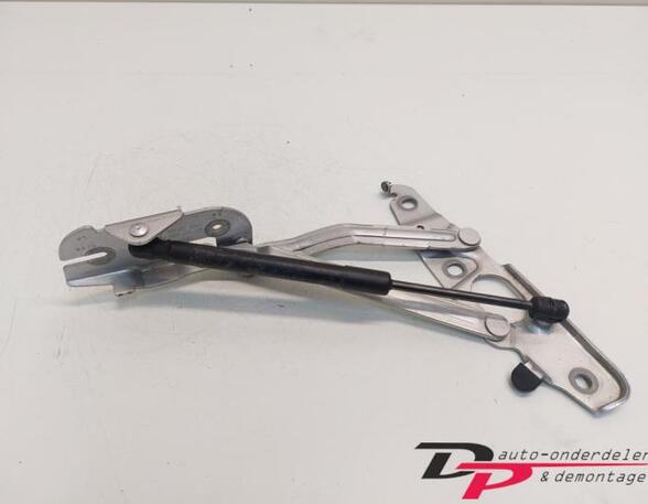 Heckklap hinge AUDI TT Roadster (8J9)