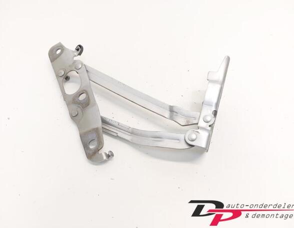 Heckklap hinge AUDI TT Roadster (8J9)