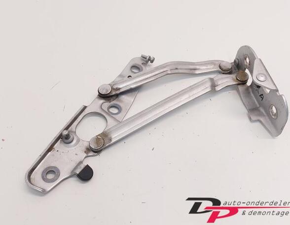 Heckklap hinge AUDI TT Roadster (8J9)