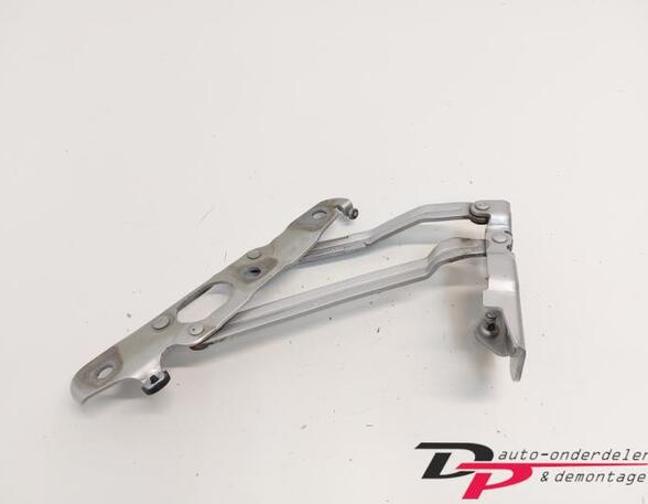 Heckklap hinge AUDI TT Roadster (8J9)