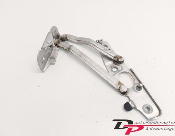 Heckklap hinge AUDI TT Roadster (8J9)