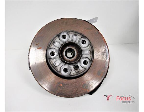 Stub Axle BMW X1 (E84)